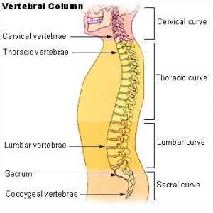 back injury car accident