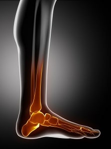 Foot