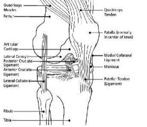 Knee Surgical Error