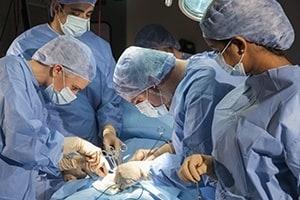 Heart Surgery Process