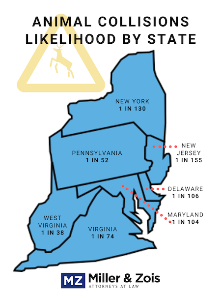Animal Collision Maryland Statistics