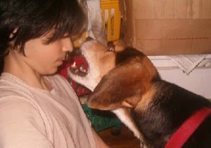 dog bite