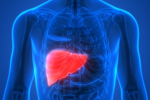 Person's Liver