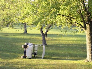 Golf Carts