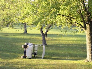 Golf Carts